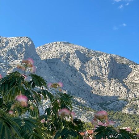 Heaven'S View Apartments Baška Voda Екстериор снимка