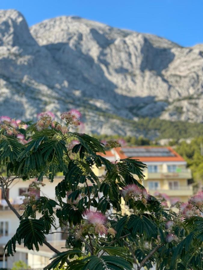 Heaven'S View Apartments Baška Voda Екстериор снимка
